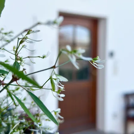 Achentaler Alpentor * ماركوارتستين